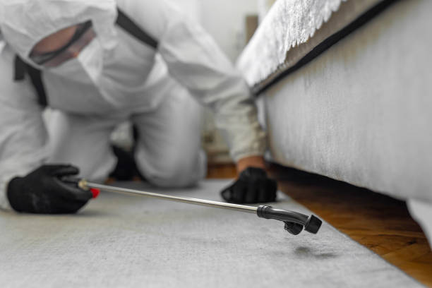 Professional Termite Control technician working in Merrill, IA