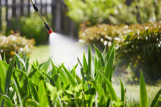 24/7 Emergency Termite Control experts in Merrill, IA